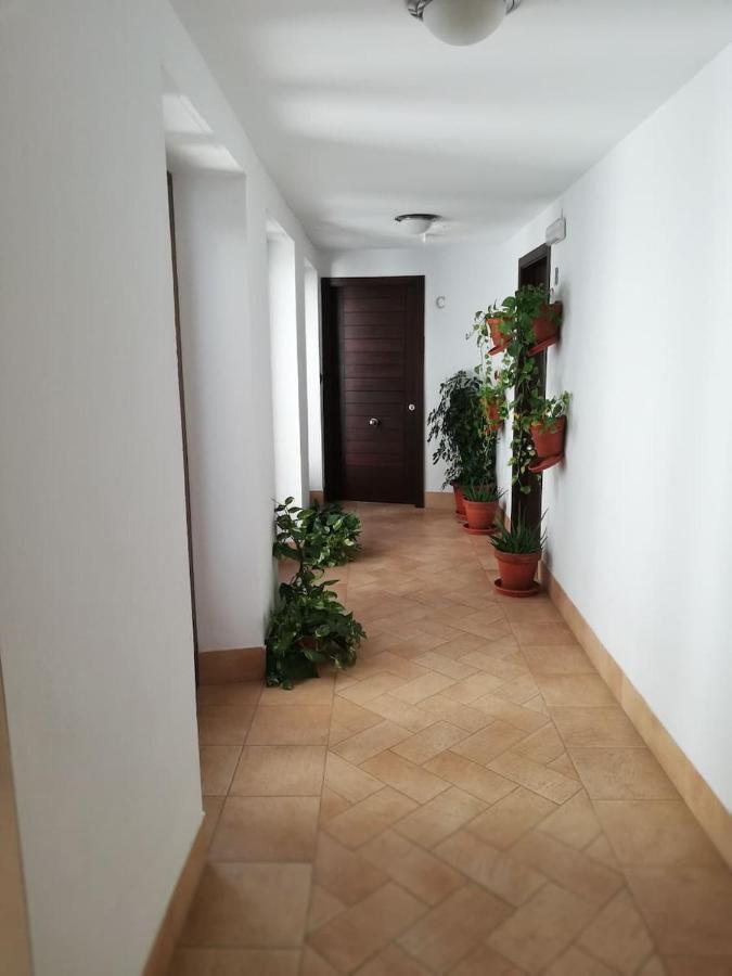 Estudio San Pedro-Corredera Cordoba Luaran gambar